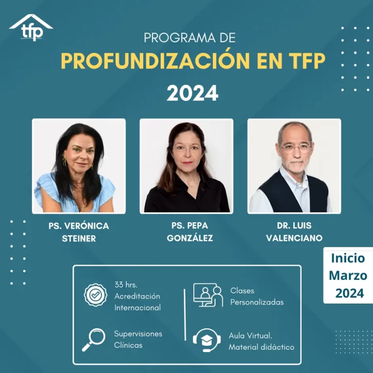 Programa de Profundización en TFP 2024